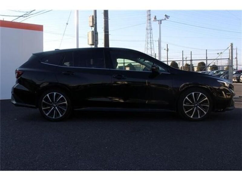 LEVORG