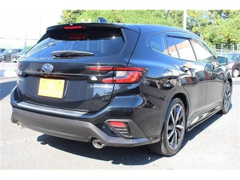 LEVORG