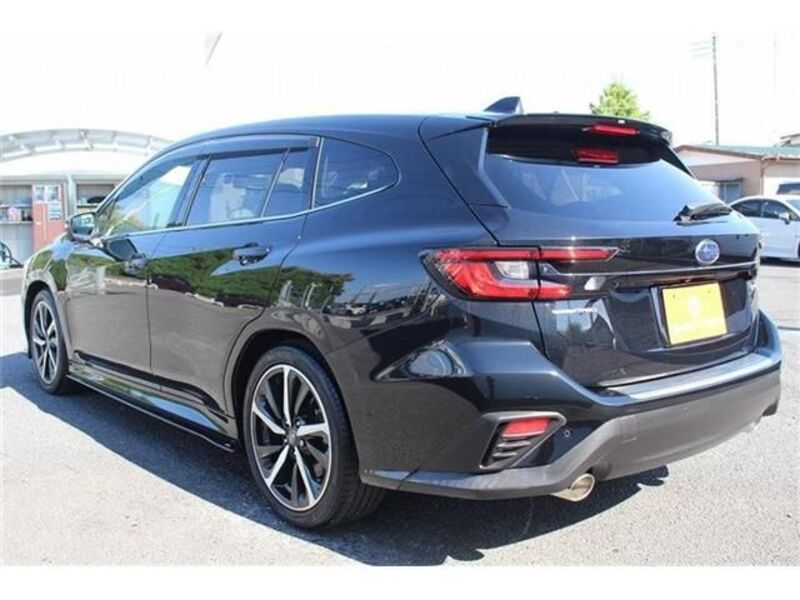 LEVORG