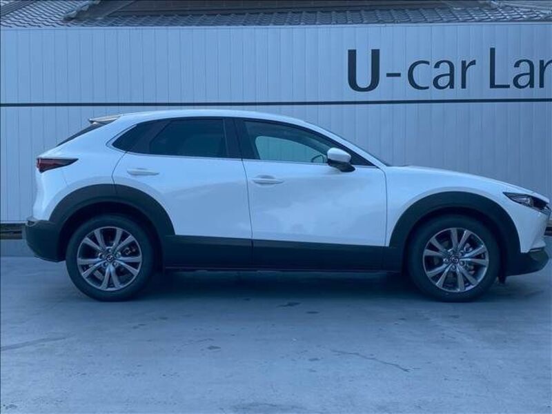CX-30