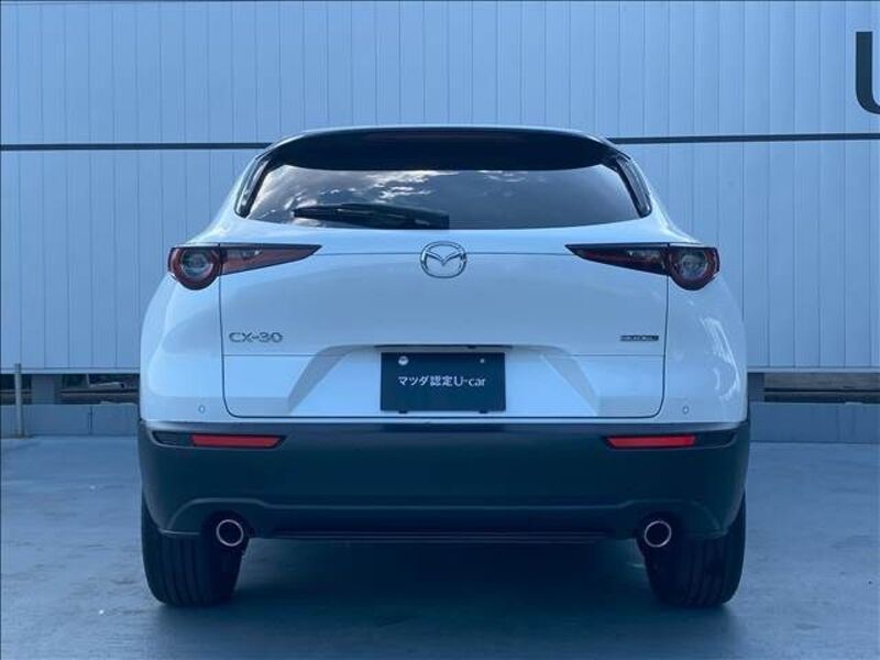CX-30