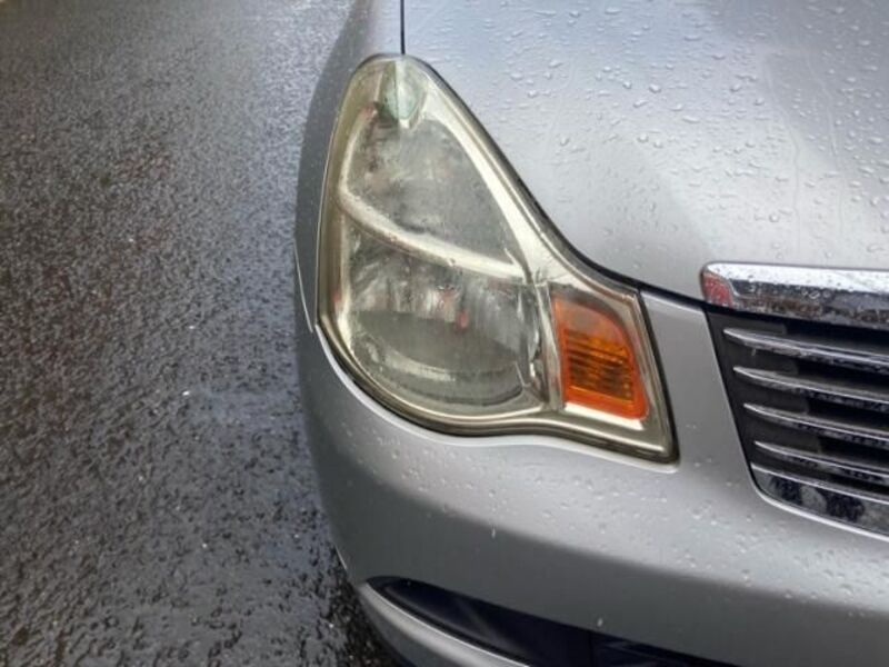 BLUEBIRD SYLPHY
