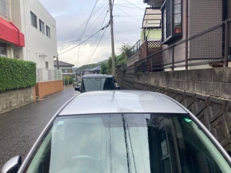 BLUEBIRD SYLPHY