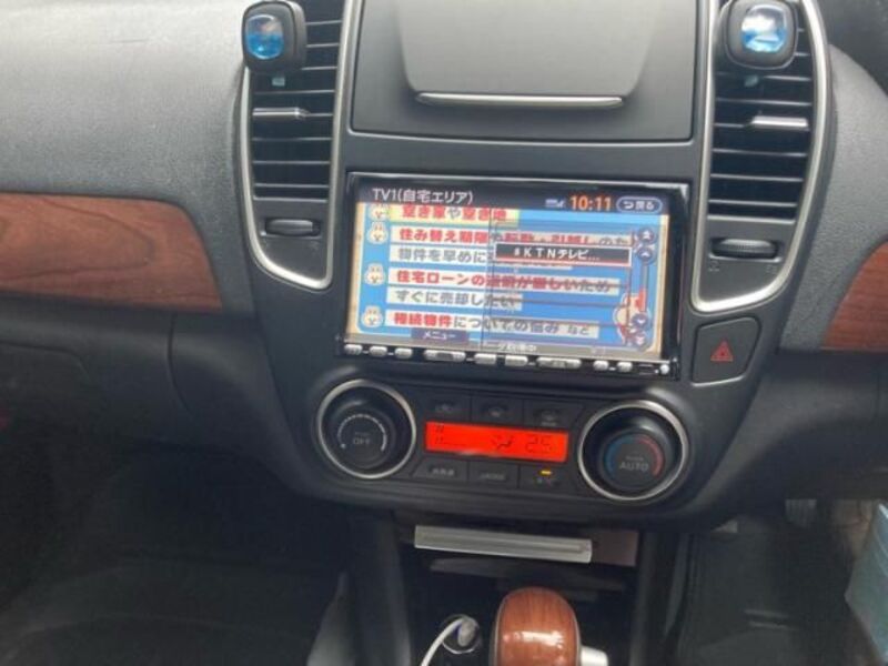 BLUEBIRD SYLPHY