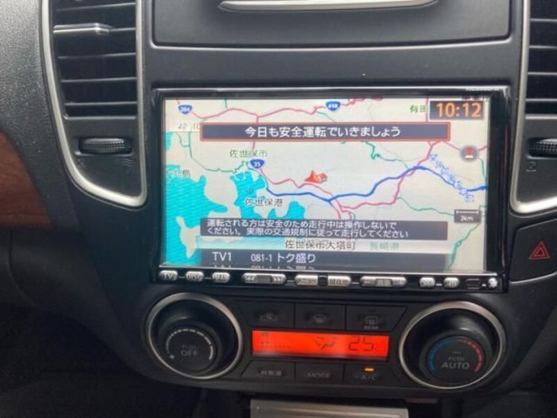 BLUEBIRD SYLPHY