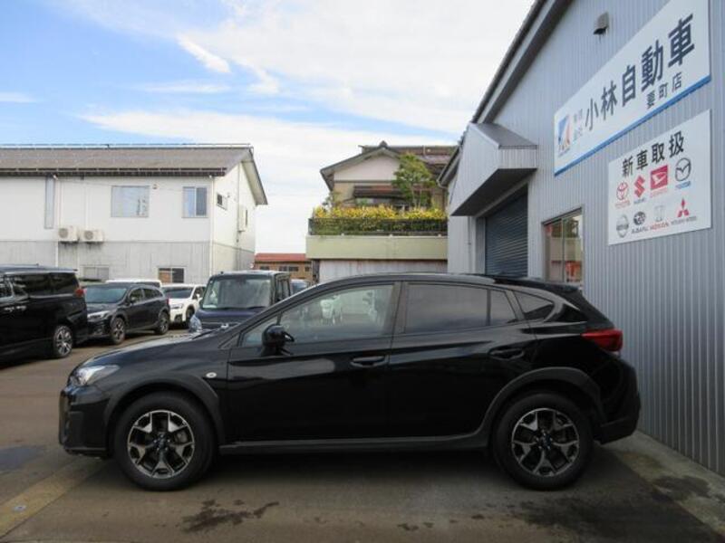 XV
