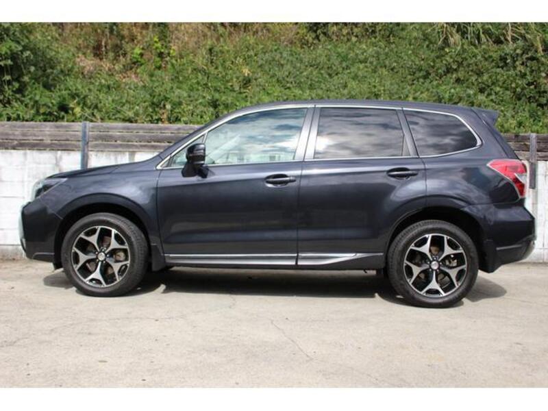 FORESTER