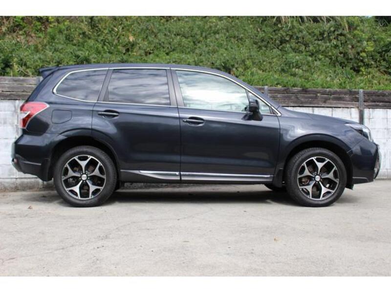 FORESTER