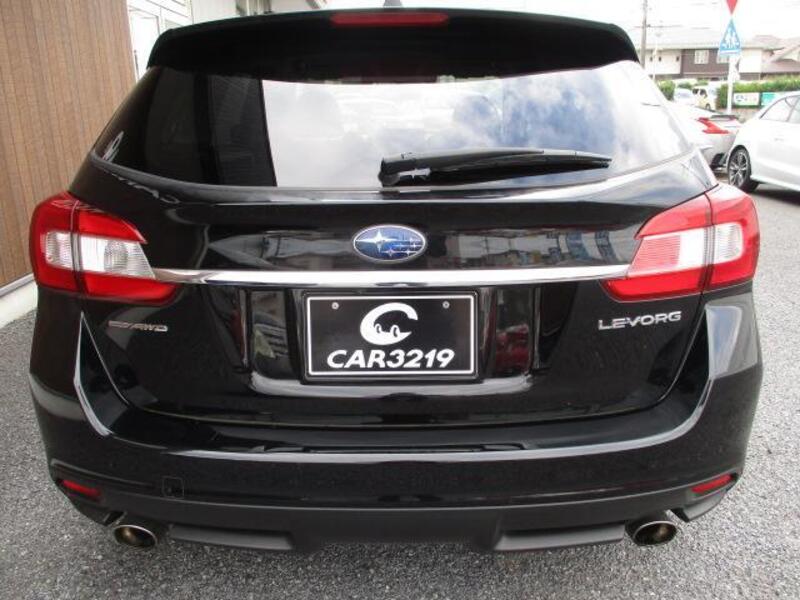 LEVORG