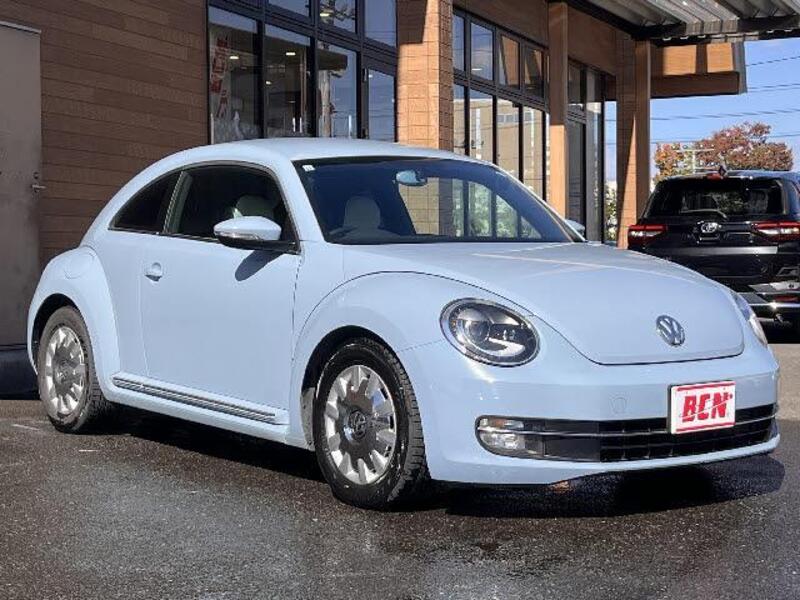 THE BEETLE