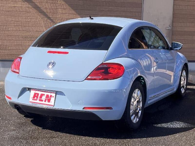 THE BEETLE