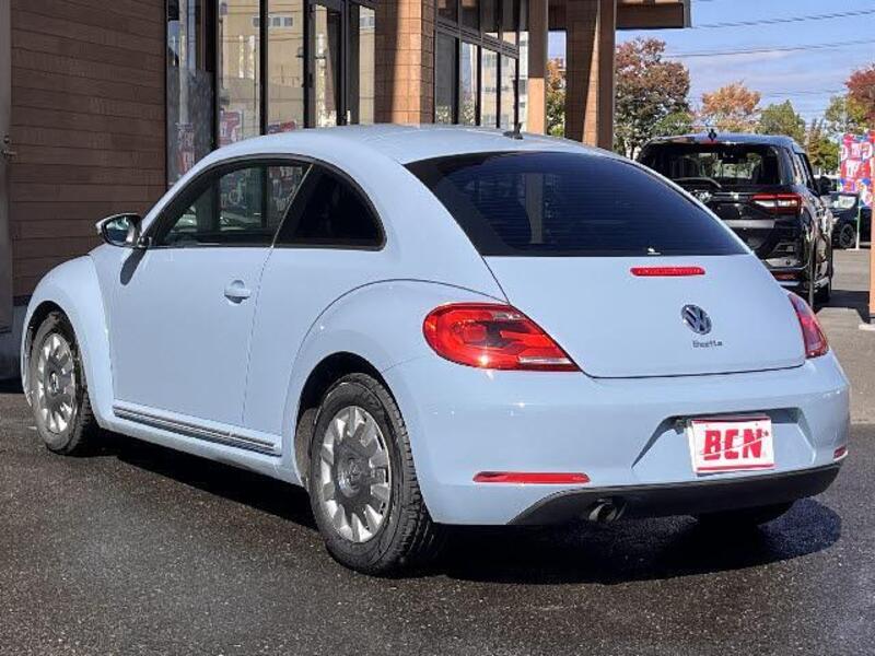 THE BEETLE