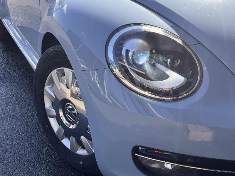 THE BEETLE