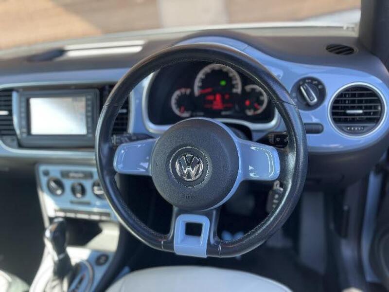 THE BEETLE