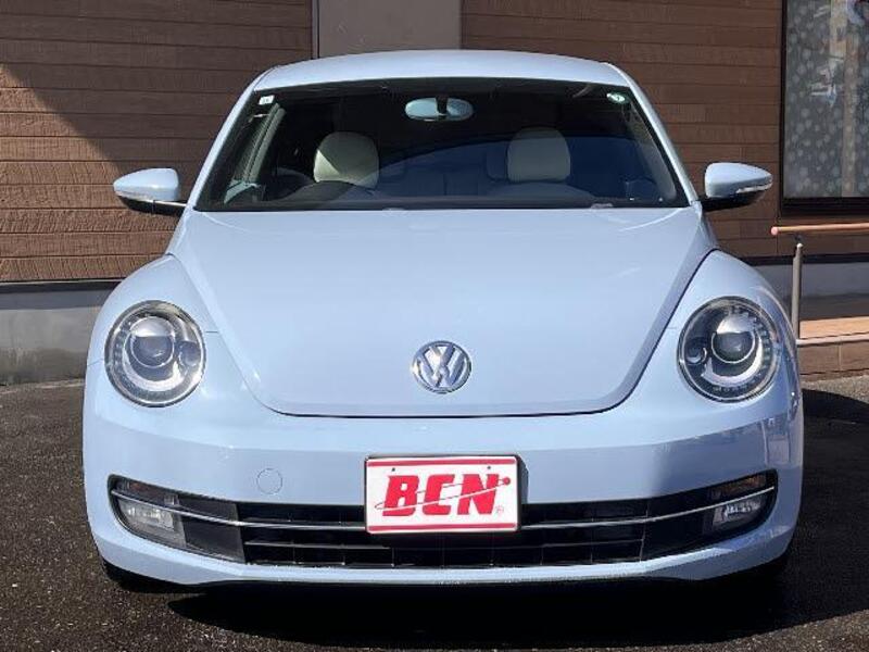 THE BEETLE