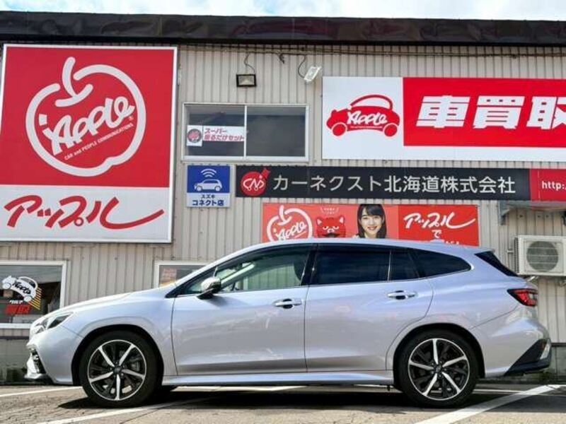 LEVORG