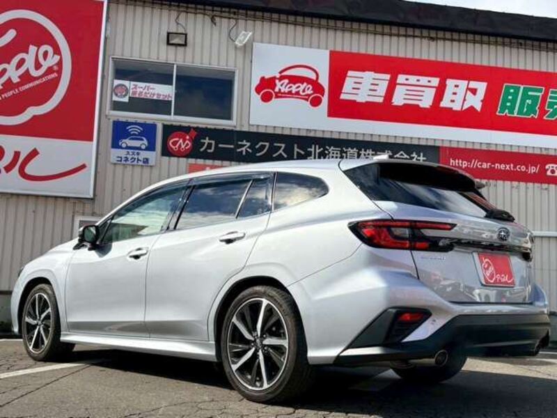LEVORG
