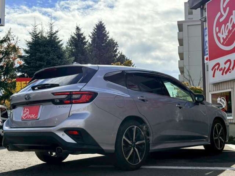 LEVORG