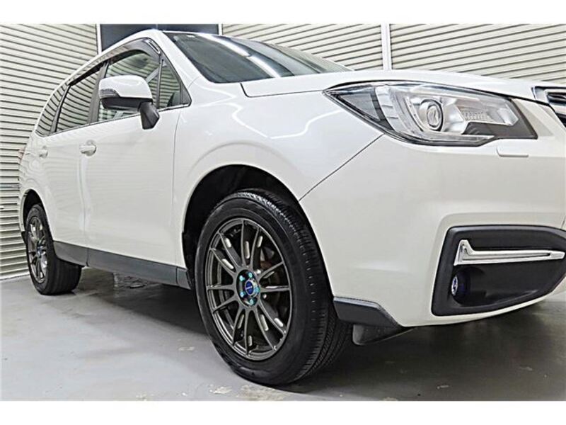 FORESTER