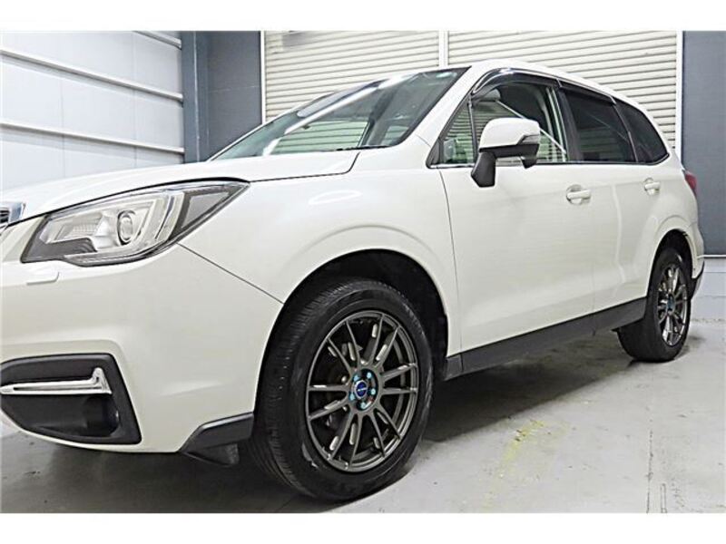 FORESTER