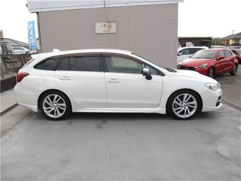 LEVORG