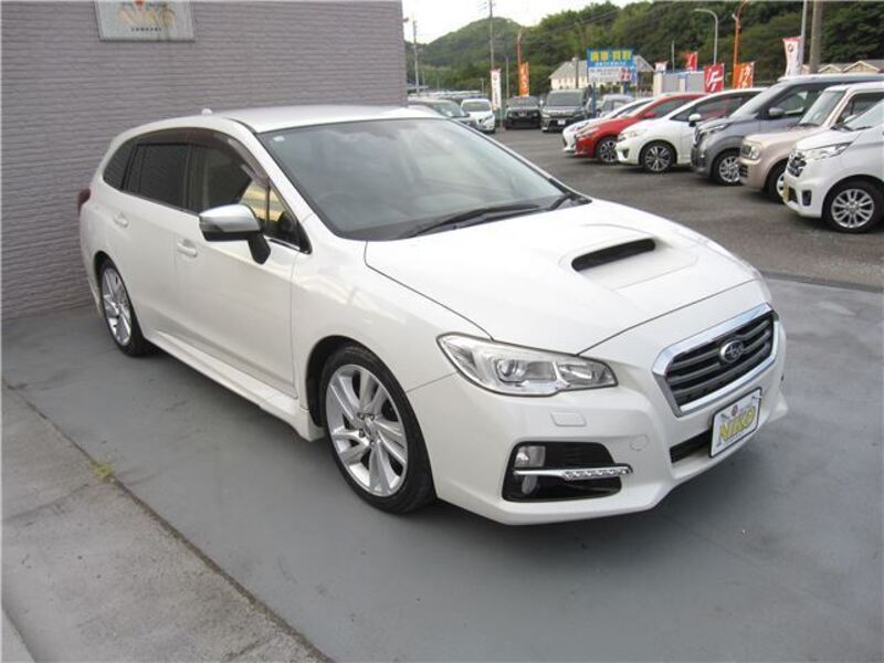 LEVORG
