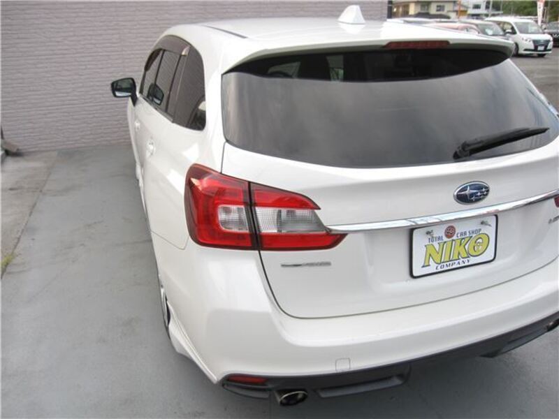 LEVORG
