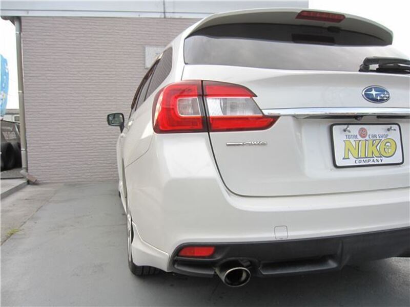 LEVORG