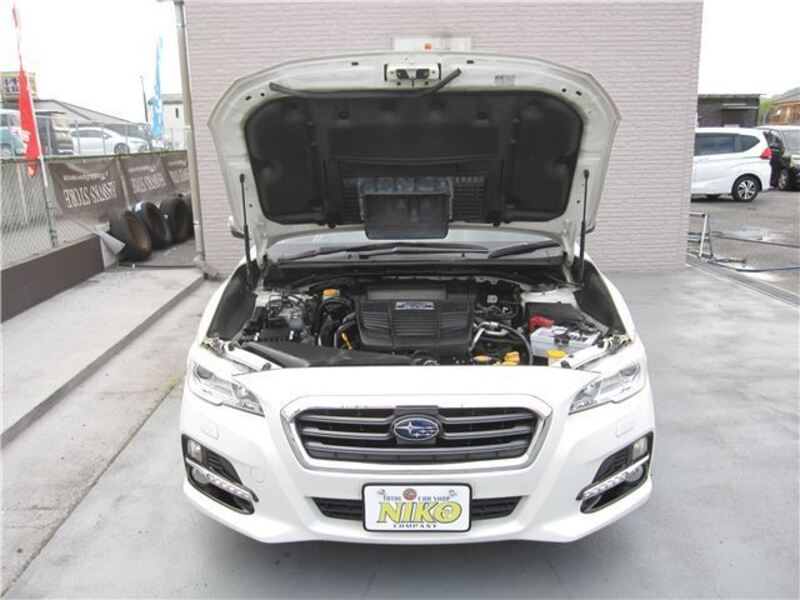 LEVORG
