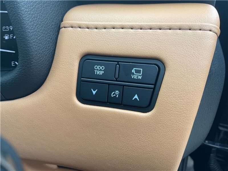 LX