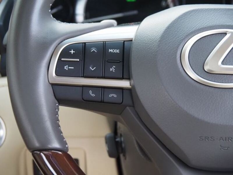 LX