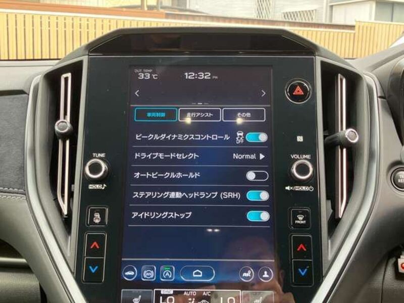 LEVORG
