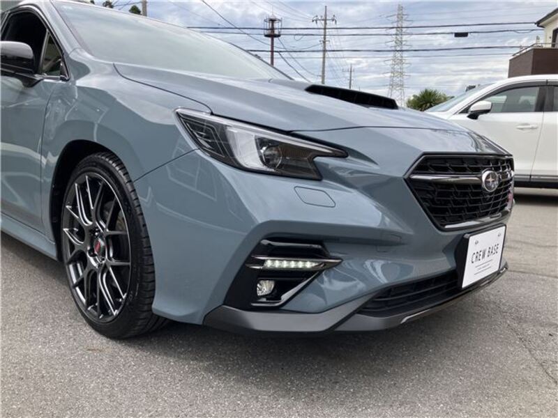 LEVORG