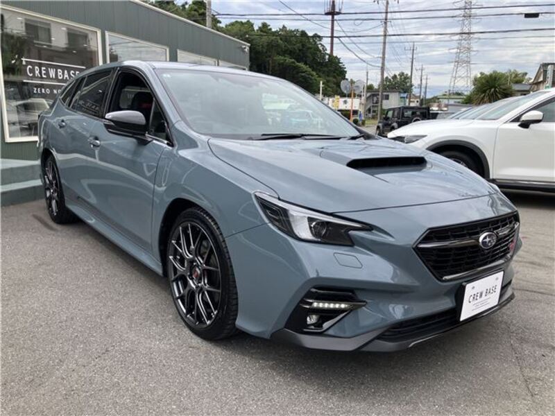 LEVORG