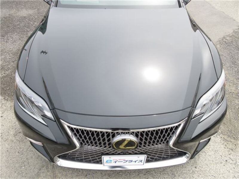 LS