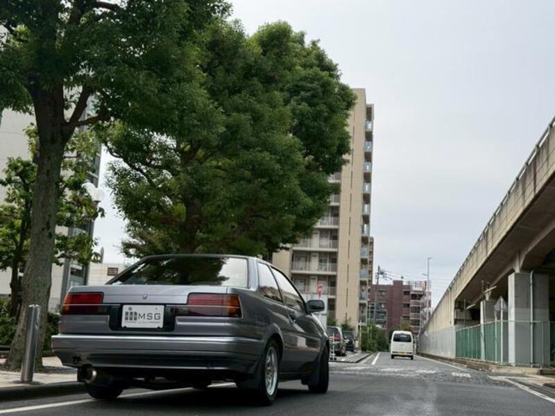 COROLLA LEVIN
