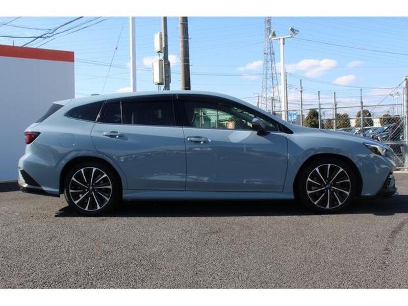 LEVORG