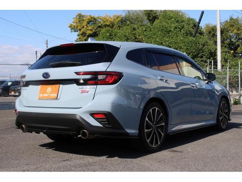 LEVORG