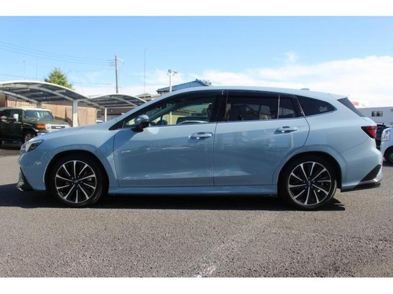 LEVORG