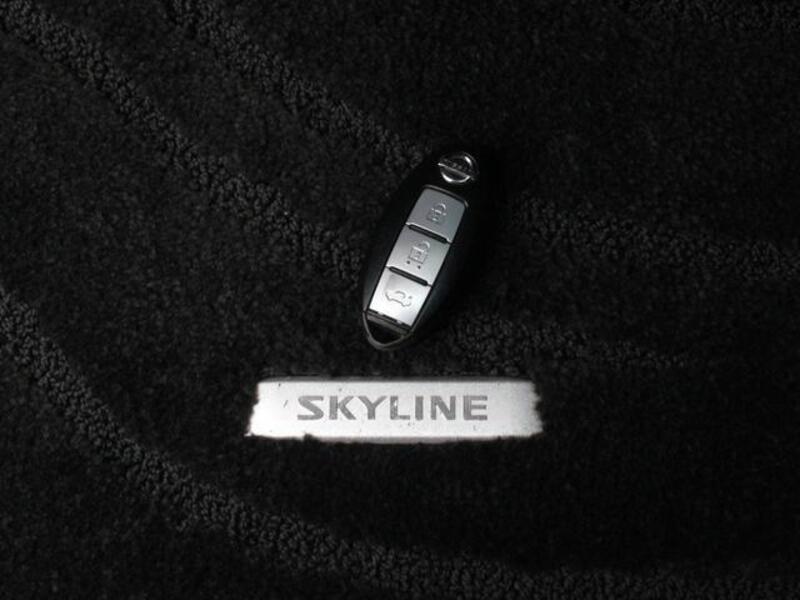 SKYLINE