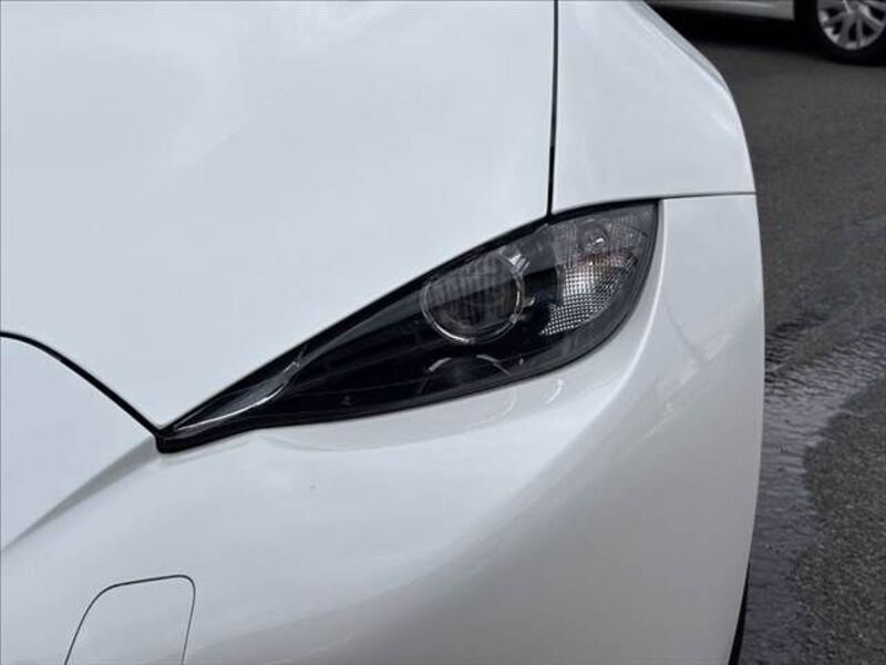 ROADSTER