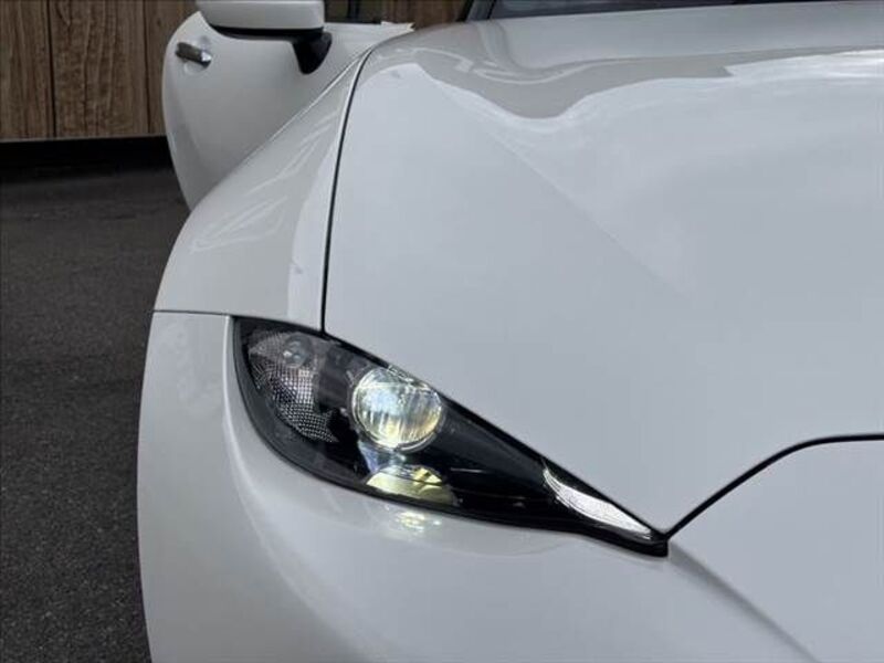 ROADSTER