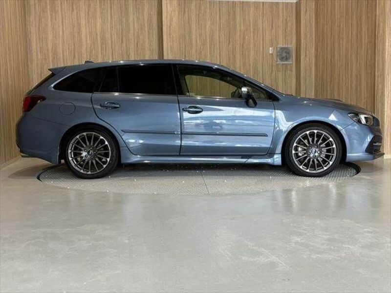 LEVORG
