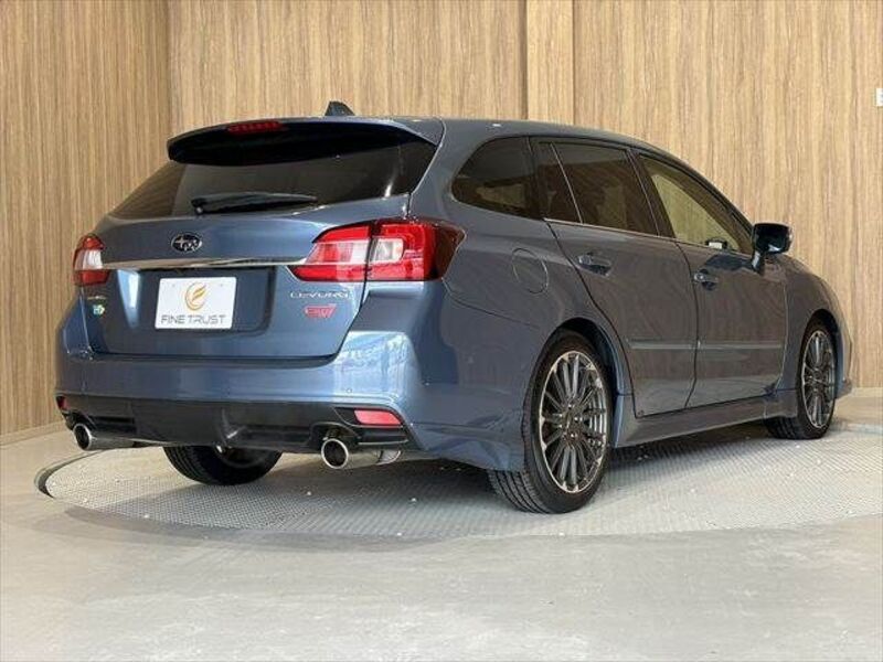 LEVORG