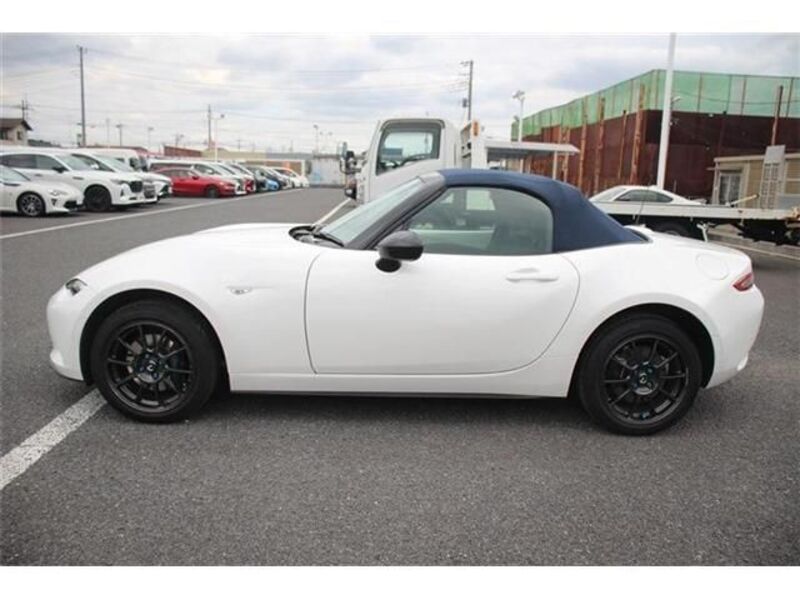 ROADSTER