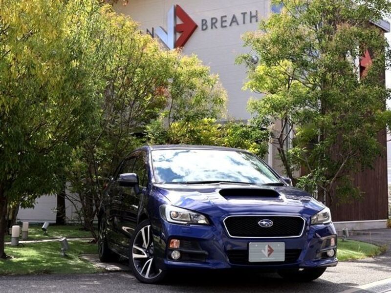 LEVORG-0