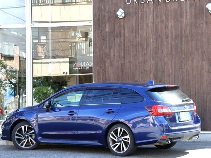 LEVORG