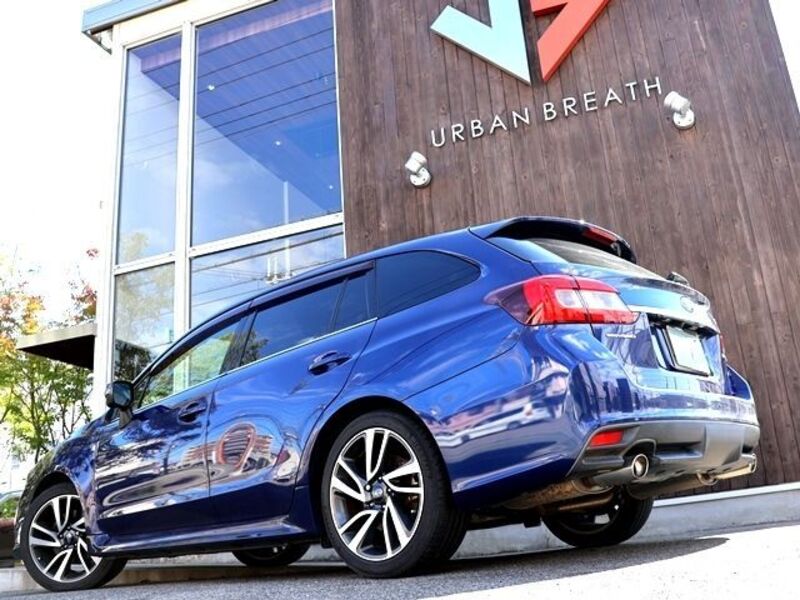 LEVORG