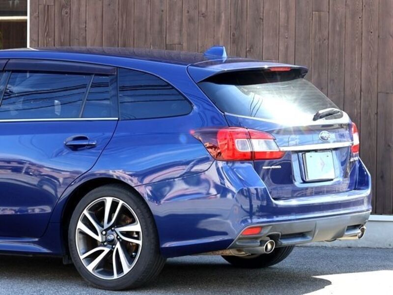LEVORG