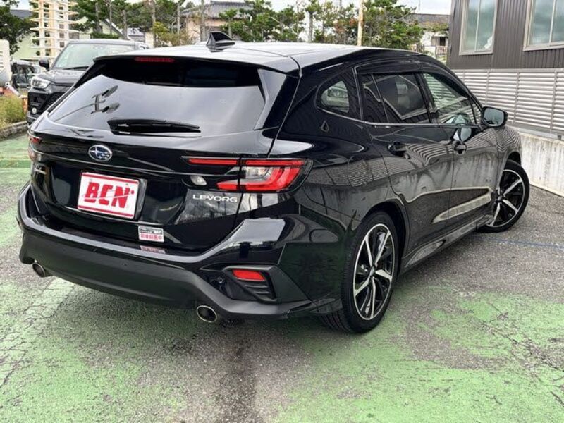 LEVORG